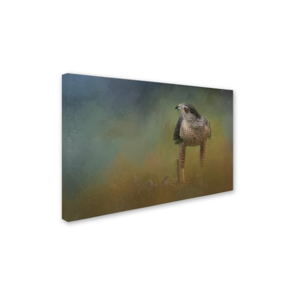 Jai Johnson 'Evening Hawk' Canvas Art,30x47